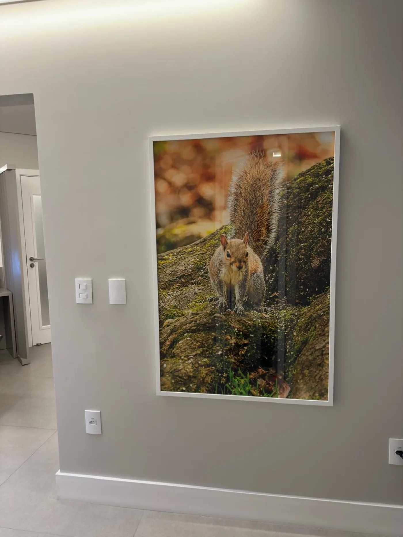 O Guardião das Nozes instalada na parede do cliente